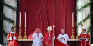 Domenica delle Palme, Papa Francesco non legge omelia e si raccoglie in silenzio