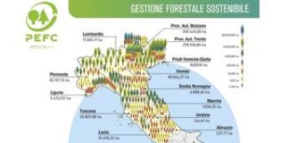Foreste certificate, un milione di ettari targati Pefc