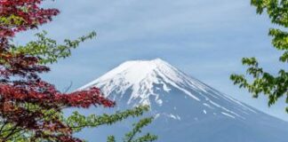 Giappone, il risparmio gestito verso gli Etf