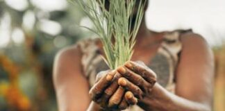 I cambiamenti climatici influenzano le disuguaglianze di genere, come e quanto?