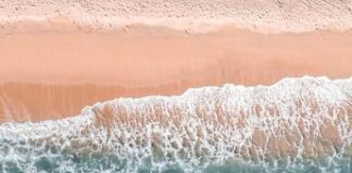 Il Mediterraneo è a rischio soffocamento: ecco cause e conseguenze