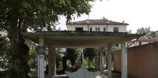 Nuova vita ai lavatoi vicentini: ne sono rimasti 17 dei 60 originari. Collettivo artiste vicentine non vuole che vadano alla deriva Lavatoi: a Vicenza un collettivo artistico " li reinventa