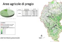 Impianti fotovoltaici a terra, Nardin e Veronese (Provincia di Vicenza): pronta la mappa delle aree agricole di pregio per regolamentarne l’installazione Impianti fotovoltaici, Provincia di Vicenza: mappa aree di pregio