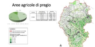 Impianti fotovoltaici a terra, Nardin e Veronese (Provincia di Vicenza): pronta la mappa delle aree agricole di pregio per regolamentarne l’installazione Impianti fotovoltaici, Provincia di Vicenza: mappa aree di pregio