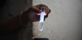 La Dengue allarma il Brasile, ma preoccupano anche Zika e Chikungunya