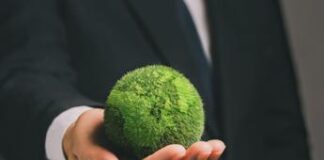 La transizione energetica accelera, Italia seconda in Europa per numero di B-Corp