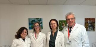 Malattie rare, italiani creano organoide d’osso per studiarle e testare nuove cure