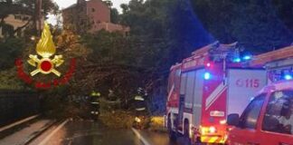 Maltempo in Liguria, cadono alberi e massi sull’Aurelia: strada chiusa in due tratti