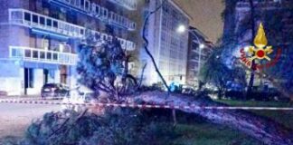 Maltempo nel biellese, alberi caduti e allagamenti