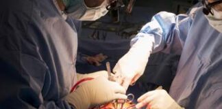 Trapianti, Indice del Dono Nazionale. Zaia, “Il Veneto e i veneti sugli scudi. Tutti i parametri in aumento” Donatori di organi e trapianti: in Veneto numero in aumento