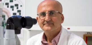 Regionali Basilicata, Domenico Lacerenza candidato governatore del centrosinistra