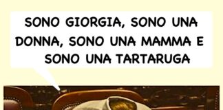 Meloni: sono Giorgia, sono una donna, sono una mamma. Claudio Mellana: “e sono una… tartaruga” Meloni: sono Giorgia, sono una donna, sono una mamma e sono una… tartaruga - by Claudio Mellana
