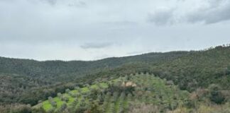 Sostenibilità, Borgo di Perolla: laboratorio naturale per gli agronomi di domani