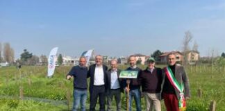 Sostenibilità, Mosaico Verde: inaugurato a Caravaggio intervento di forestazione