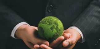 Sostenibilità aziendale migliora, ma troppe decisioni dipendono da una sola persona