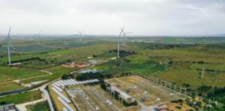Terna, in 2028 previsti ricavi in crescita a 4,60 mld: in 2024 crescita dividendo 4% annua
