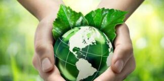 Transizione energetica e clima, le strategie per il Sud del mondo