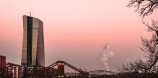 “Transizione green può costare 1/3 della produttività delle imprese”, l’allarme della Bce