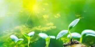 Trentino Alto Adige e Marche regine della transizione ecologica