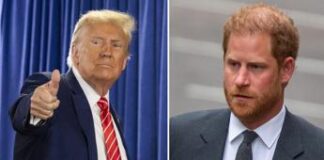 Trump contro il principe Harry: “Va espulso se ha fatto uso di droghe”