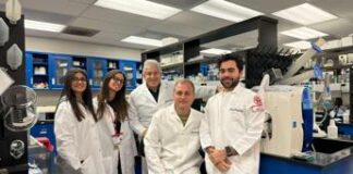Tumori, una proteina alterata li fa crescere, bersaglio per nuove cure