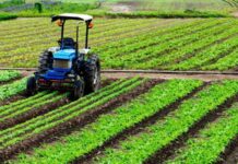 Insieme per rilanciare l’agricoltura: iniziativa di BVR Banca Veneto Centrale per dare concreto sostegno al settore primario bvr Banca Veneto Centrale sostiene l'agricoltura