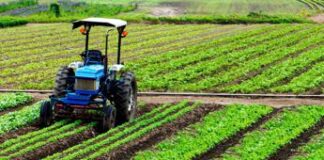 Insieme per rilanciare l’agricoltura: iniziativa di BVR Banca Veneto Centrale per dare concreto sostegno al settore primario bvr Banca Veneto Centrale sostiene l'agricoltura