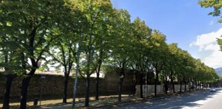 Bassano del Grappa, illuminazione delle mura di Viale delle Fosse: via al completamento Viale delle Fosse Bassano del Grappa