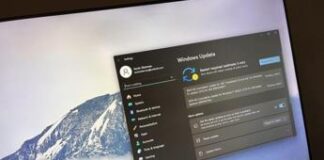 Windows 11 aggiornamento Moment 5, tutte le nuove funzioni