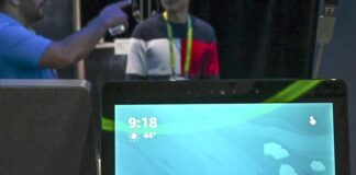Alexa da oggi risponderà agli insulti, l’iniziativa contro la violenza verbale alexa