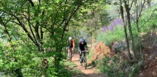 “Colli Berici bike Experience”: la promozione dei colli Berici passa dal cicloturismo La promozione dei colli Berici passa dal cicloturismo