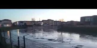 Maltempo a Vicenza, piena importante del Bacchiglione: Coc attiva tutte le procedure di protezione dopo l’intensa ondata di pioggia Piena importante del Bacchiglione dietro viale Trento, zona Coni provinciale