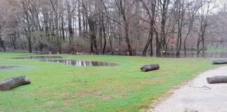 Maltempo, parchi ancora chiusi almeno fino a domani parco querini