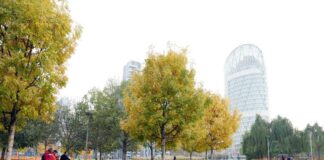Smog fa male anche alle ossa, con più verde meno osteoporosi smog