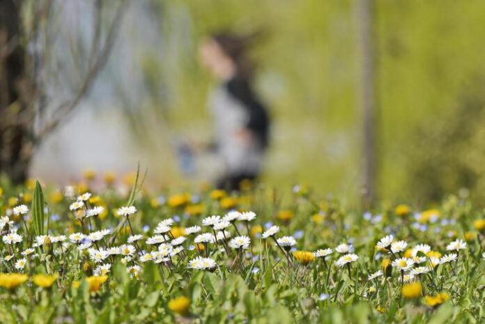 primavera_ftg pioggia