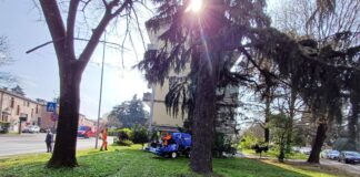 Sfalcio del Verde a Vicenza, AMCPS al lavoro: interventi programmati e straordinari da marzo a ottobre sfalcio del verde a vicenza