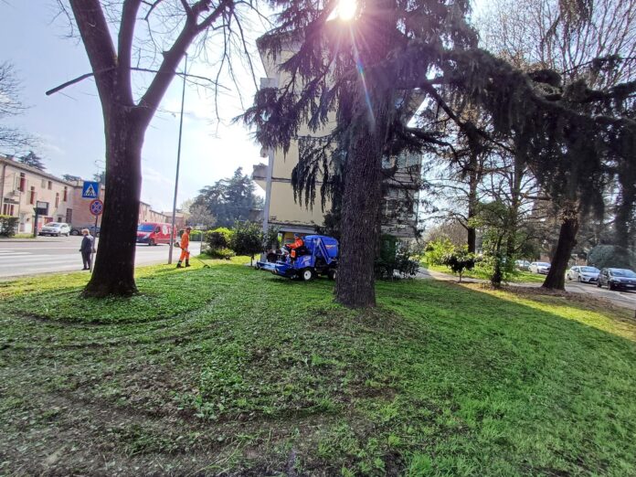 sfalcio del verde a vicenza