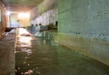Impronta idrica: strategie per la sua riduzione con Viacqua e Accademia Olimpica Impronta idrica
