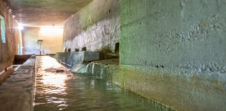 Impronta idrica: strategie per la sua riduzione con Viacqua e Accademia Olimpica Impronta idrica