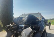 Zugliano, Consorzio di Polizia Locale Nordest Vicentino di Thiene: fuoriuscita autonoma contro un cipresso Zugliano, Consorzio di Polizia Locale Nordest Vicentino di Thiene: fuoriuscita autonoma contro un cipresso