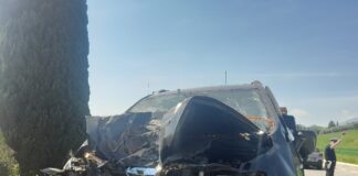 Zugliano, Consorzio di Polizia Locale Nordest Vicentino di Thiene: fuoriuscita autonoma contro un cipresso Zugliano, Consorzio di Polizia Locale Nordest Vicentino di Thiene: fuoriuscita autonoma contro un cipresso