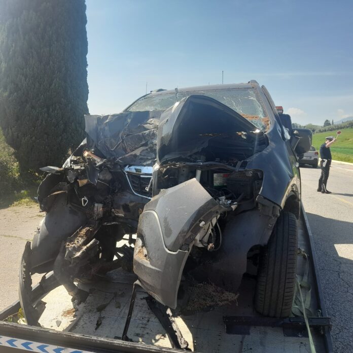 Zugliano, Consorzio di Polizia Locale Nordest Vicentino di Thiene: fuoriuscita autonoma contro un cipresso