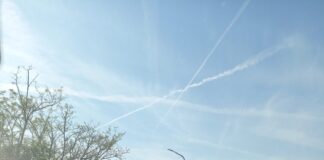 Raffaele Colombara (Lista “Per una Grande Vicenza”): “a quando risorse e lavori per ponte franato lungo Strada dell’Ospedaletto?” Lavori per ponte franato lungo Strada dell'Ospedaletto