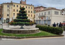 Le attività di AMCPS in occasione della 95a Adunata degli Alpini Amcps Vicenza fiorita