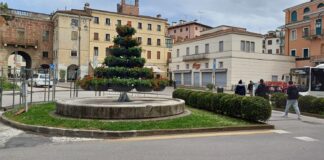 Maltempo Vicenza, riprogrammati interventi Amcps per gli sfalci del verde Amcps Vicenza fiorita