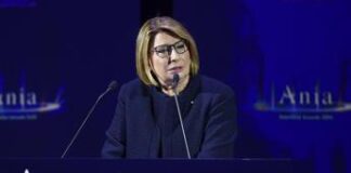 Assicurazioni, Farina (Ania): “IA può avere ruolo chiave anche nel nostro settore”