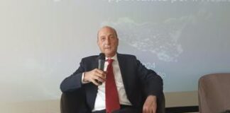 Autonomia, Foti (Magna Grecia): “Approvazione ci preoccupa, Zes unica va in direzione opposta”