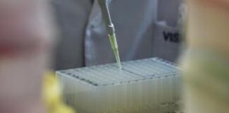 Aviaria, bimbo di 4 anni contagiato da virus H9N2 in India