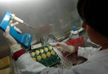 Aviaria, morto negli Usa il primo caso umano di H5N5