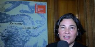 Biennale Arte, Zabotti: “In Sestante domestico artisti raccontano cosa significa ‘casa’”